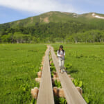 【画像】たとえ低山でもスニーカーはNG！　用途に合った正しいトレッキングシューズの選び方とは 〜 画像1