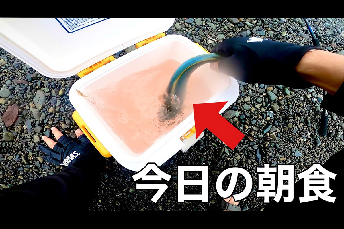 「早朝サーフアジング」に挑む！　40cm級のアジはゲットできたのか……、果たしてその釣果や如何に？