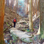 【画像】海が見えなくとも、埼玉県でも伊豆！　飯能アルプスの主峰「伊豆ヶ岳ハイク」は聖地巡りの宝石箱 〜 画像1