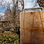 【画像】何種類くらいの野鳥を探せる？　「片倉城跡公園」で野鳥観察【関東エリア】 〜 画像1