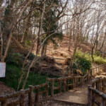 【画像】何種類くらいの野鳥を探せる？　「片倉城跡公園」で野鳥観察【関東エリア】 〜 画像1