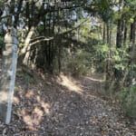 【画像】仏教伝来以前からの古社を〝西の比叡山〟として平清盛が再興！　忘れられし山寺跡・丹生山を探索 〜 画像1