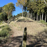 【画像】仏教伝来以前からの古社を〝西の比叡山〟として平清盛が再興！　忘れられし山寺跡・丹生山を探索 〜 画像1