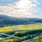 【画像】スズメだけじゃなかった!?　里地でひっそりと数を減らしている野鳥たちの生態を知る 〜 画像1
