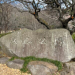 【画像】湯河原「幕山」で梅と真鶴半島と岩石にラーメン&コロッケも！　贅沢過ぎる感動のハイキング 〜 画像1