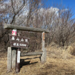 【画像】湯河原「幕山」で梅と真鶴半島と岩石にラーメン&コロッケも！　贅沢過ぎる感動のハイキング 〜 画像1