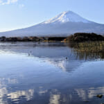 【画像】「無人島」から「絶滅魚」まで！　意外と知らない「富士五湖」の違いとは 〜 画像1