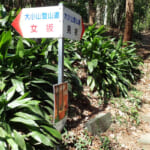 【画像】日本で唯一の山名表札がかかる大小山！　アスレチックな岩場と驚きの360度大パノラマが最高のご褒美 〜 画像1