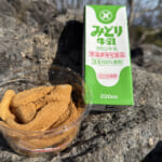【画像】荒ぶるマグマの鼓動を実感できる!?　日本一の温泉県大分で噴気を上げ続けている活火山の「伽藍岳」 〜 画像1
