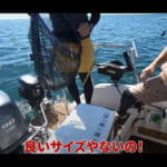 【画像】産卵期前の幻の魚を狙う！　琵琶湖に生息する「ビワマス」を釣り上げて捌いてみたら「イクラの宝石箱」だった 〜 画像1