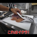【画像】産卵期前の幻の魚を狙う！　琵琶湖に生息する「ビワマス」を釣り上げて捌いてみたら「イクラの宝石箱」だった 〜 画像1
