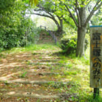 【画像】横浜南部の富士塚がある公園を歩く！　鬱蒼とした竹林を巡るアップダウンは意外にもタフだった 〜 画像1