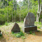 【画像】横浜南部の富士塚がある公園を歩く！　鬱蒼とした竹林を巡るアップダウンは意外にもタフだった 〜 画像1