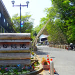 【画像】川崎市最大の公園「生田緑地」にはお城が建っていた？　頼朝、早雲、信玄ら名武将のランドマークは360度の大パノラマが広がる 〜 画像1