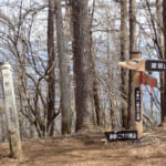 【画像】熊が噛み千切った？　スチール製道標破壊に思わずすくむ山梨百名山「今倉山」＆山名ロマンな「二十六夜山」ハイクで秀麗富士の絶景を堪能 〜 画像1