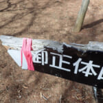 【画像】熊が噛み千切った？　スチール製道標破壊に思わずすくむ山梨百名山「今倉山」＆山名ロマンな「二十六夜山」ハイクで秀麗富士の絶景を堪能 〜 画像1