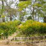 【画像】川崎の住宅街にある丘には動物園がある、神社がある、古墳がある！　不思議がテンコ盛りの加瀬山に行ってみた 〜 画像1