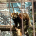 【画像】川崎の住宅街にある丘には動物園がある、神社がある、古墳がある！　不思議がテンコ盛りの加瀬山に行ってみた 〜 画像1