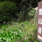 【画像】明智光秀が築いた金山城跡をゆく！　奇岩「鬼の架け橋」と可憐なスプリングエフェメラルを求めて 〜 画像1