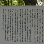 【画像】明智光秀が築いた金山城跡をゆく！　奇岩「鬼の架け橋」と可憐なスプリングエフェメラルを求めて 〜 画像1
