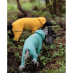 【画像】汚れがつきにくい犬用撥水ウェアが登場！　愛犬に着せたい「ウォーターリペレントスキンタイト（R）スーツ」の魅力とは 〜 画像1