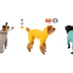 【画像】汚れがつきにくい犬用撥水ウェアが登場！　愛犬に着せたい「ウォーターリペレントスキンタイト（R）スーツ」の魅力とは 〜 画像1