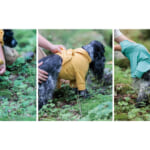 【画像】汚れがつきにくい犬用撥水ウェアが登場！　愛犬に着せたい「ウォーターリペレントスキンタイト（R）スーツ」の魅力とは 〜 画像1
