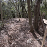 【画像】最高峰の標高はわずか110m！　低山過ぎるご当地アルプスは「海・山・石仏・竹林」と見どころ満載のお手軽マウンテン 〜 画像1