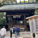 【画像】小田原城址で春爛漫ソメイヨシノが満開！　桜、桜、桜で締めは「かまぼこの鈴廣」で小田原旅を満喫 〜 画像1