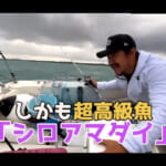 【画像】狙うはお食い初めの鯛！  過酷すぎる激荒の釣行で幻の超高級魚ゲットに視聴者も驚きと大興奮が止まない 〜 画像1