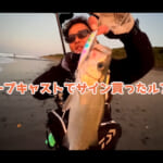 【画像】フローティングミノーで「怪魚」を狙う！　仲間と楽しむサーフフィッシングで憧れのヒラスズキを釣り上げる 〜 画像1