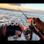 【画像】フローティングミノーで「怪魚」を狙う！　仲間と楽しむサーフフィッシングで憧れのヒラスズキを釣り上げる 〜 画像1