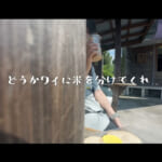 【画像】ビジュアル＆積載力「最高」なハンターカブをレンタル！　バイク女子の新米探しツーリング旅と田園風景に大絶賛の声 〜 画像1