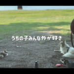 【画像】愛犬＆愛猫と一緒にキャンプを満喫！　琵琶湖の格安キャンプ場で過ごす絶景とキャンプ飯グルメ旅に癒やされる 〜 画像1