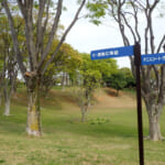 【画像】大都会と自然のコントラストに魅せられる！　ミステリアスなトンネルに引き込まれるディープな横浜を歩く 〜 画像1