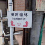 【画像】まるでジブリの世界観が広がる！　三浦アルプス麓の伏見稲荷と千本鳥居さながらのラビリンスを歩く 〜 画像1