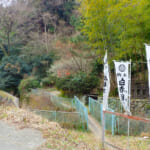 【画像】まるでジブリの世界観が広がる！　三浦アルプス麓の伏見稲荷と千本鳥居さながらのラビリンスを歩く 〜 画像1