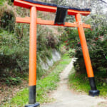 【画像】まるでジブリの世界観が広がる！　三浦アルプス麓の伏見稲荷と千本鳥居さながらのラビリンスを歩く 〜 画像1