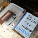 【画像】まるでジブリの世界観が広がる！　三浦アルプス麓の伏見稲荷と千本鳥居さながらのラビリンスを歩く 〜 画像1