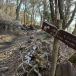 【画像】のどかな登山路と険峻な山頂部のギャップが凄い！「豊後富士」と呼ばれる美しき双耳峰登山を満喫 〜 画像1