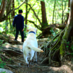 【画像】アウトドアも一緒に楽しみたい！　躾と工夫で楽しく登る「賛否両論」ある愛犬連れ登山で注意するべき事とは 〜 画像1