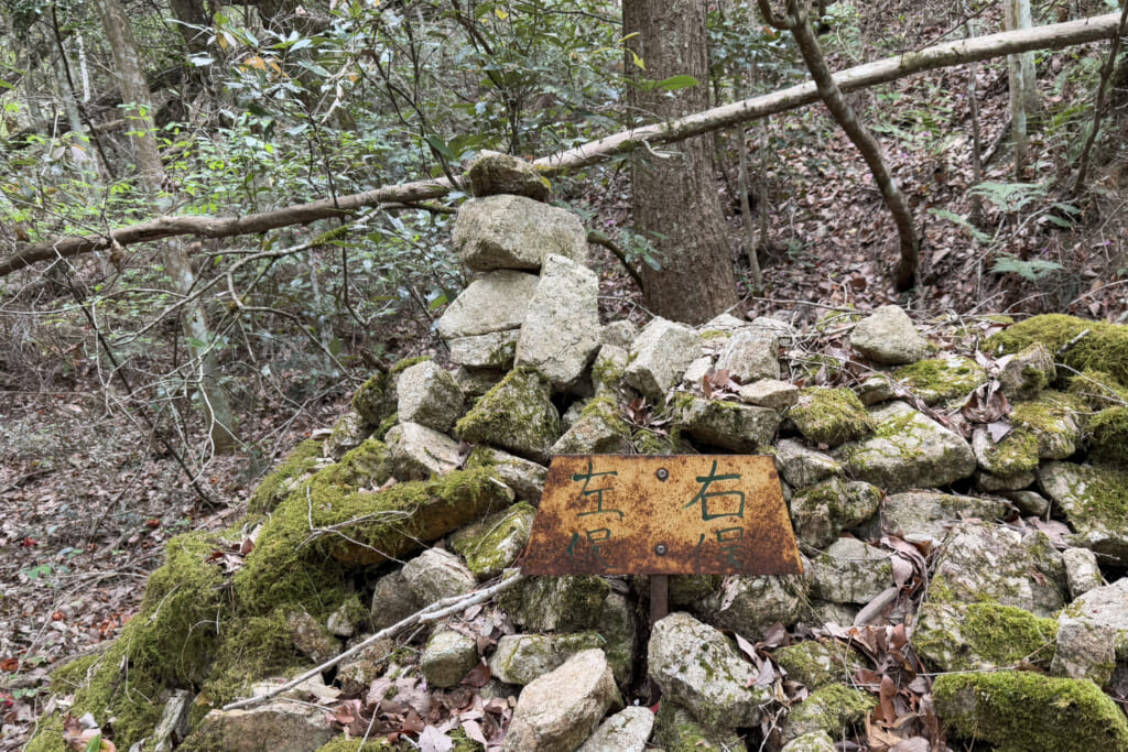 分岐