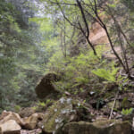 【画像】山名の由来は平安時代の悲劇から？　数年前に大崩壊した「ゴルジュ」の現状をルポ 〜 画像1
