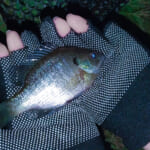 【画像】形状と素材がポイント！　自分の釣りスタイルにハマる「フィッシンググローブ」の選び方とは 〜 画像1