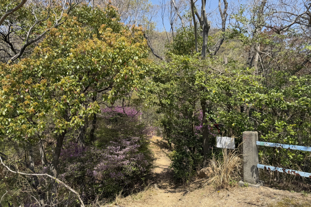 山道入口