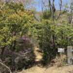 【画像】険しく猛々しい山には「岳」の名が付く！　六甲山地唯一の山“標高565,6m”の「ゴロゴロ岳」登山 〜 画像1