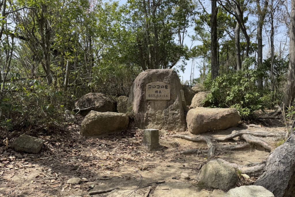 ごろごろ岳山頂