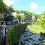 【画像】新緑まばゆい箱根峠越え！　石畳を敷かせた家康は偉大だった「旧東海道28km」を歩く 〜 画像1