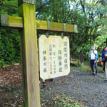 【画像】新緑まばゆい箱根峠越え！　石畳を敷かせた家康は偉大だった「旧東海道28km」を歩く 〜 画像1