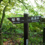 【画像】新緑まばゆい箱根峠越え！　石畳を敷かせた家康は偉大だった「旧東海道28km」を歩く 〜 画像1